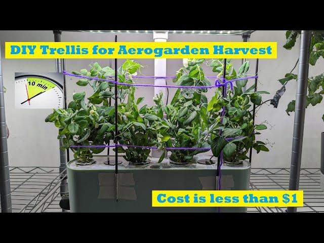 DIY Trellis for Aerogarden Harvest (Cost is less than $1)