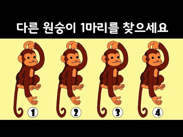 실제 뇌신경센터에서 치매 테스트로 진단하는 그림 퀴즈