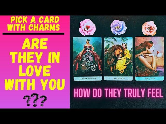 ARE THEY IN LOVE WITH YOU? TRUE FEELINGS REVEALED|CHARM|TAROT PICK A CARD