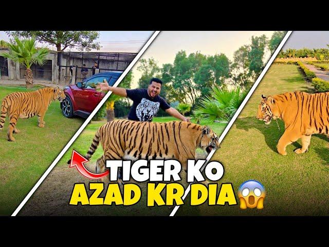 Tiger Ko Azad Krna Buht Mehnga Parh Gaya | Car Pr Attack kr k Car ko Tabbah Kr Dia | Nouman Hassan