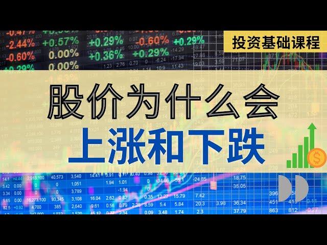 【投资基础课程】 第十七课 || 股价为什么会上涨和下跌?