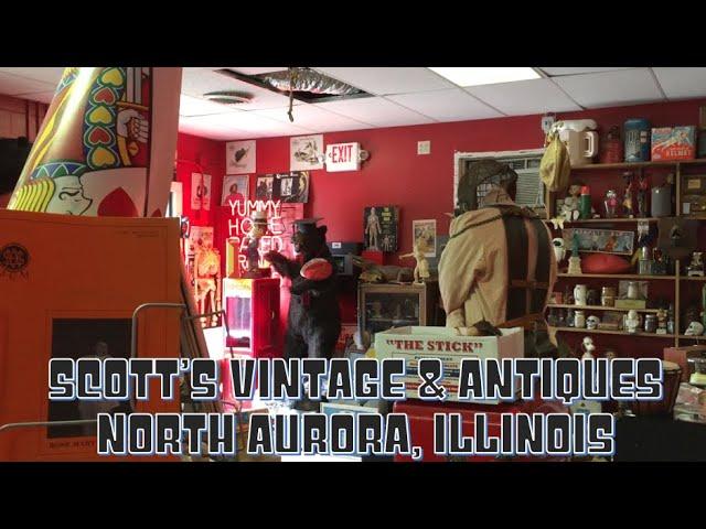 Bizarre Curiosities – Scott's Vintage & Antiques North Aurora, Illinois