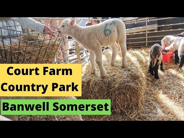 Court Farm Country Park - Somerset