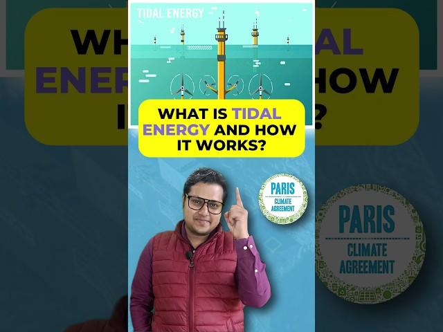 Free Electricity From The Ocean? Tidal Power Explained!