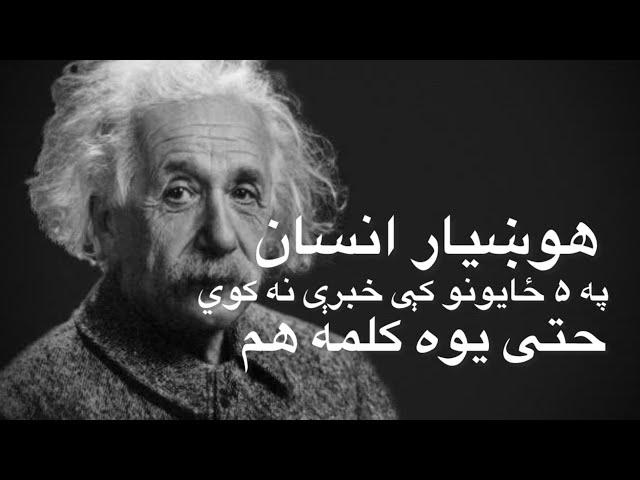 کاش د انشټاین په دې جملو ژر پوهېدی: هوښیار انسان په خپل سکوت له نورو دا ټکي پټوي