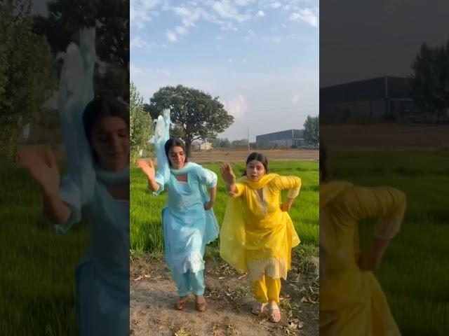 mere wargi  #trendingshorts #latestpunjabsong #explorepage #punjabisong #fypシ゚viral #shorts