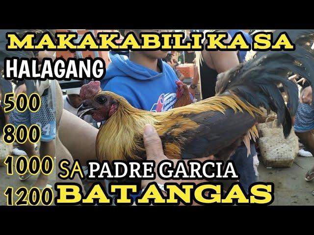 DAGSA MGA ABOT KAYANG PRESYO SA PADRE GARCIA BATANGAS LIVESTOCK AUCTION MARKET