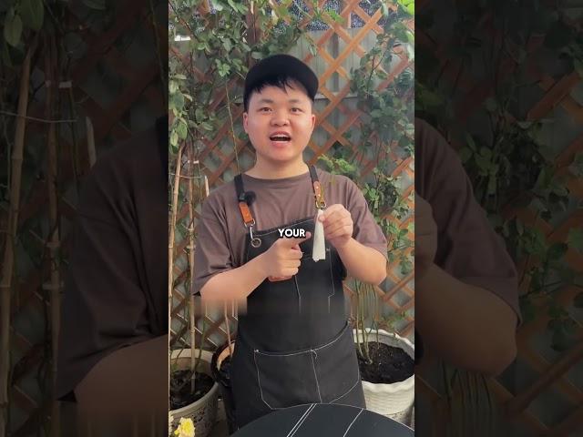 This is the simplest and fastest method of rose cuttings I have tried #rose #cutting #plantingtips