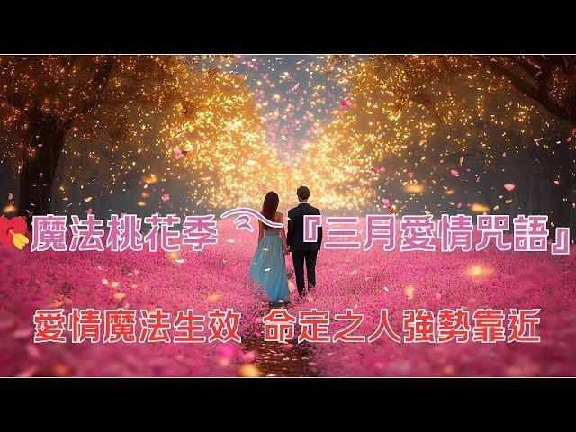 【愛情吸引力法則】愛情音樂：魔法桃花季『三月愛情咒語』 愛情魔法急速生效 命定之人強勢靠近  需還願 #戀愛魔法 #真愛顯化