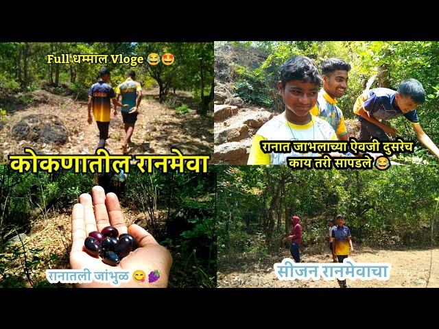 कोकणचा रानमेवा || जांभळाच्या ऐवजी दुसरेच काय तरी सापडले  || सीजन रानमेवाचा #रत्नागिरी #कोकण