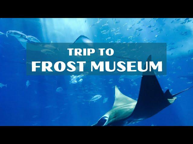 Video tour of the new Frost Museum of Science  #4kstock