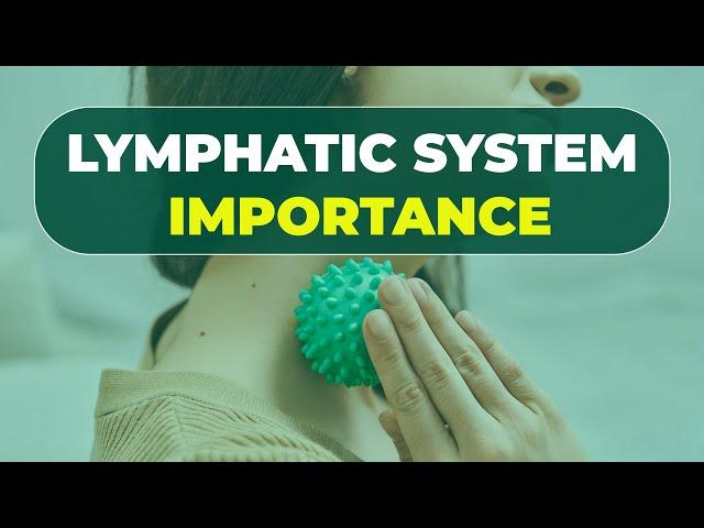 Lymphatic system importance | Nation Health | Lisa King RPh