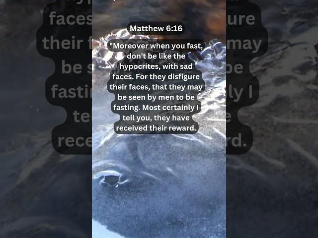 Journey of faith and spiritual growth | Matthew 6:16 Daily Bible Verse