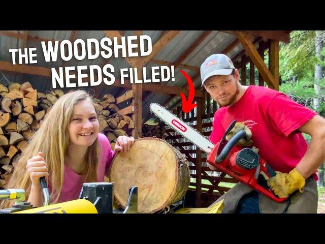 Getting FIREWOOD Ready for WINTER | Bucking, Splitting, & Stacking