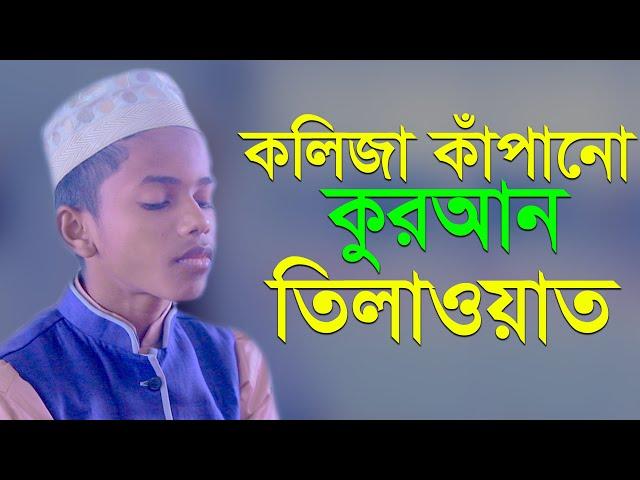 কলিজা কাঁপানো কুরআন তিলাওয়াত Heart Touching Quran Recitation | World Muslim Media