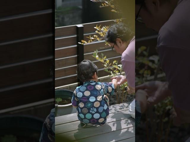 小さな子どもと暮らす和モダンな家 #roomtour #architecture #japandi #注文住宅 #建築 #ルームツアー