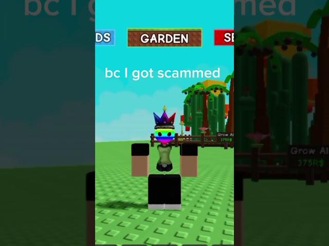 I got scammed:(