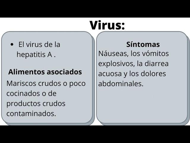 ¿Sabes cuales son las principales enfermedades transmitidas por los alimentos?