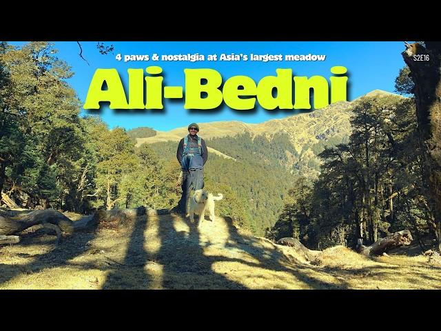 Himalayas,Doggo ,Trekking & Nostalgia | BEDNI BUGYAAL