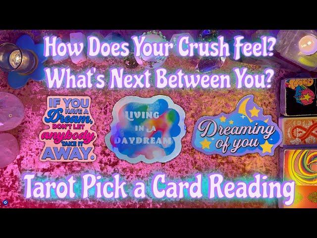 Your Crush! Their Current Feelings + What's Next Between You? Tarot Pick a Card Love Reading