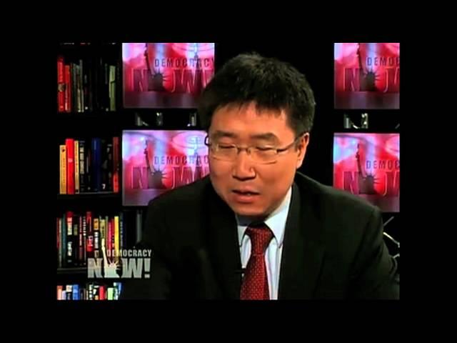 Ha-Joon Chang on IMF, WTO, World Bank and Protectionism