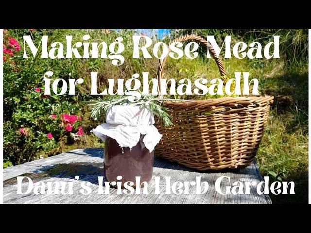 Making Rose Mead for Lughnasadh