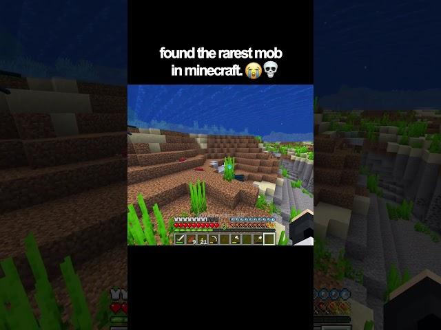 found the rarest mob in minecraft