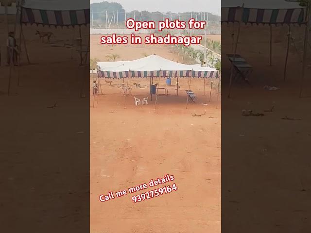 open plots in shadnagar, Hyderabad | HIGH APPRACTION PLOTS | Ready to Construction #plots #shadnagar