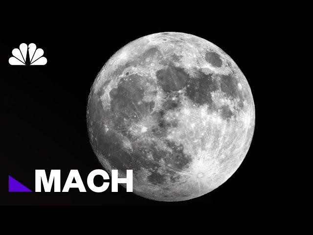 A 30-Million Page 'Lunar Library' Is Headed To The Moon To Preserve Civilization | Mach | NBC News