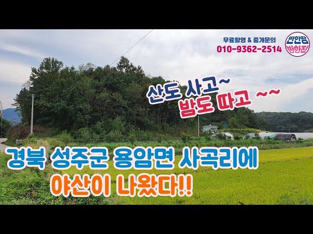 경북 성주군 용암면 사곡리 전원주택지 매매 (feat:야산 함 사보자!!)