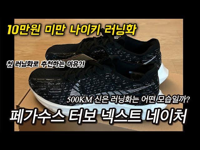 2년차 러너의 내돈내산 나이키 러닝화 추천 / 나이키 페가수스 터보 넥스트 네이처