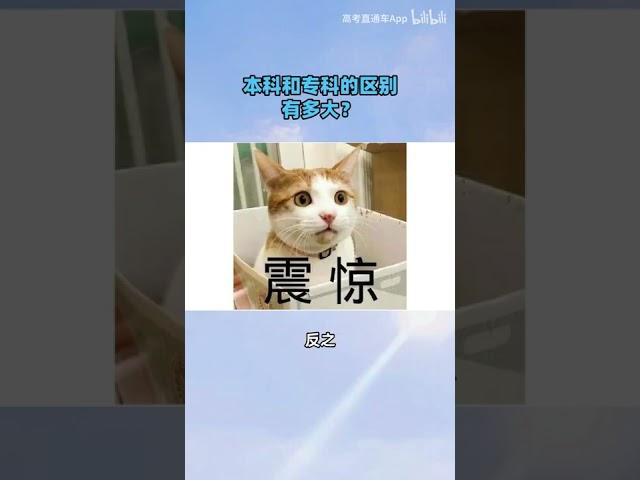 本科和专科有什么区别？