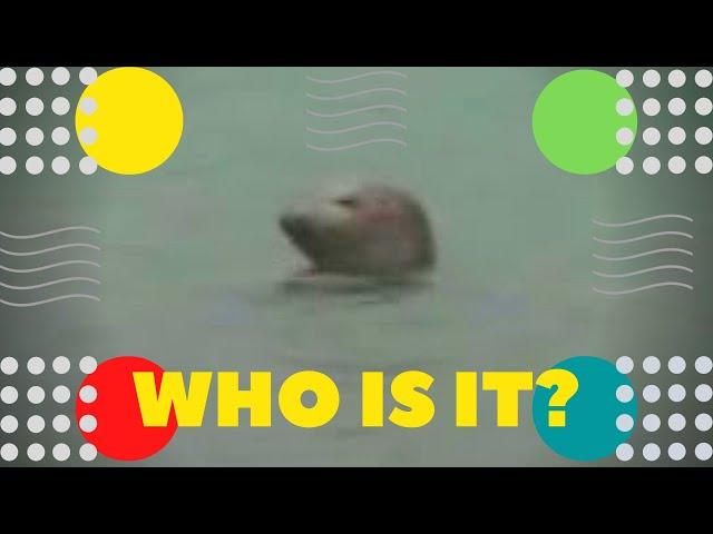 Кто это? Who is it? Wer ist das? Qui est-ce? Quién es? 誰ですか？是谁呢？ من هو ؟  Quem é? Iceland ziminvideo