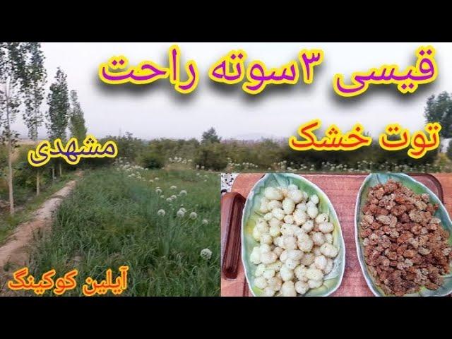 آموزش توت خشک؛قیسی محلی به روش بازاری