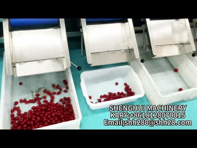 Cherry Tomato Grader Fruit and vegetables sorting machine