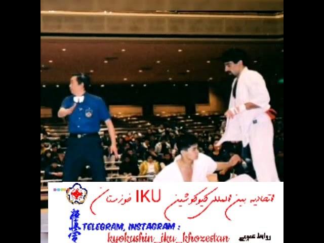 International kyokushin kai union Asia directory shihan behrouz alizade