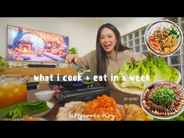 what i cook + eat in a week | double date night, spending time with family, easy comfort recipes