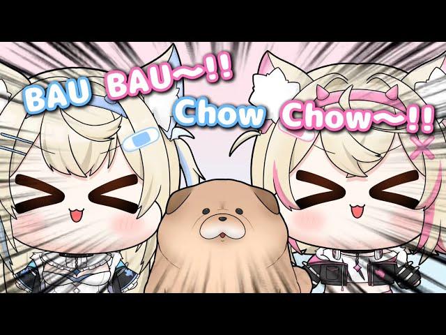 BAU BAU~!!Chow chow~!!【hololive clips/FUWAMOCO/hololive English】