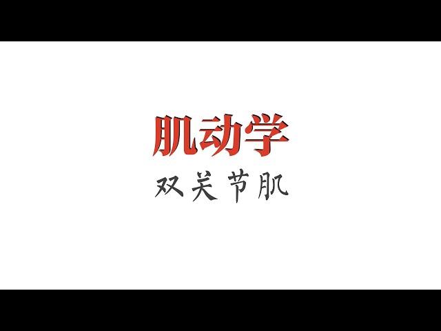 基本概念｜双关节肌