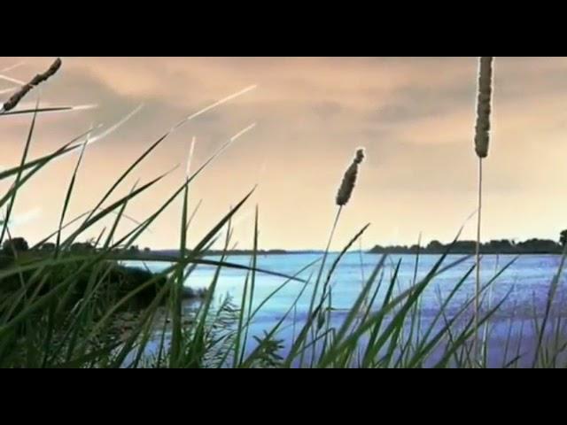Серёжа сапак за решёткой 2021 свое трек