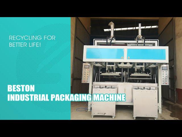 Beston Pulp Molded Industrial Packaging Machine