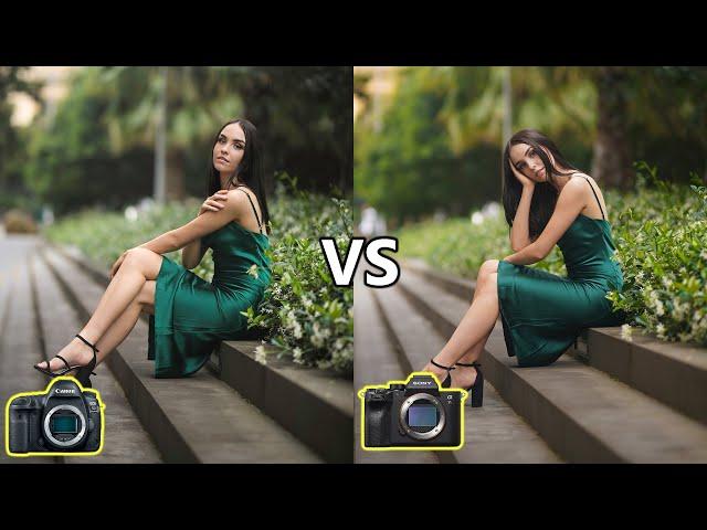 DSLR vs Mirrorless Cameras For Photography (2020)