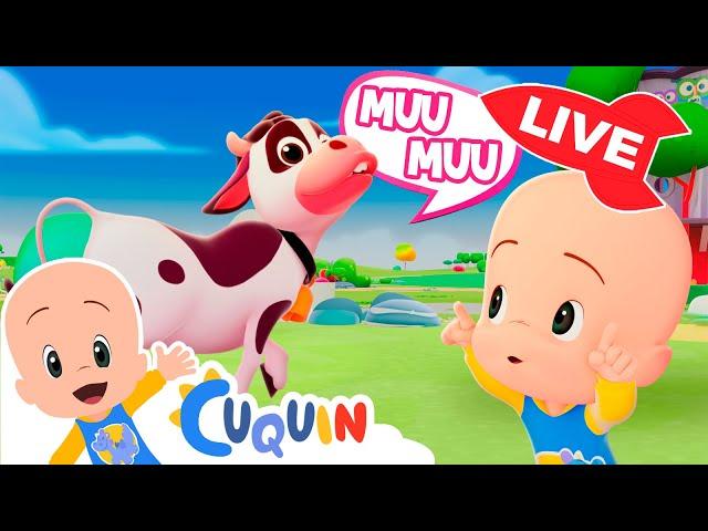  LIVE  Nursery Rhymes and children songs with Cleo and Cuquin