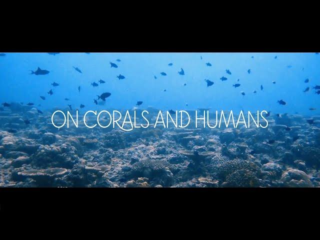 On Corals and Humans - MarHe Centre (Bicocca) Coral Restoration 2019