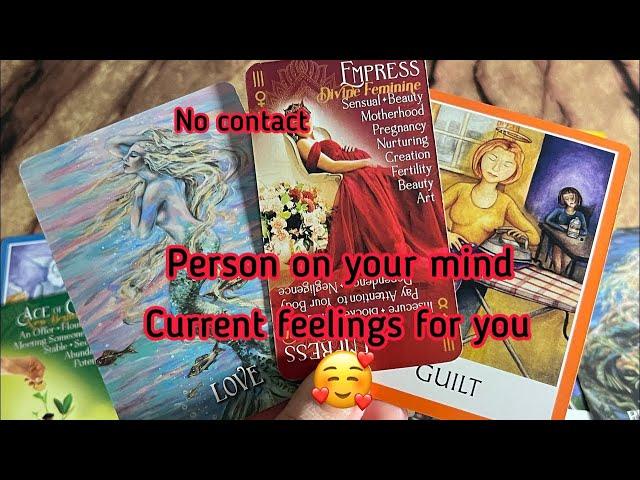 No contact | Person on your mind : Current Feeling/emotions of your personHindi tarot card reading