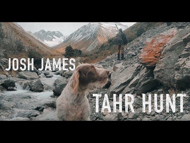 "Epic THAR Hunting Adventure in New Zealand’s Stunning South Island! |vlog-295