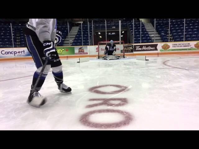 Seadogs Goalie Practice Screens and Deflectors