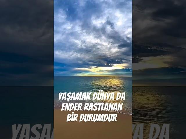 Yaşamak Dünya da ender rastlanan bir durumdur...! #ömerhançeri #shorts #güzelsözler #keşfet