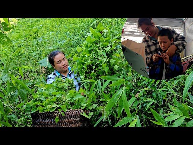 Dinh went into the forest alone to pick vegetables to sell to get money to buy clothes for Thien.