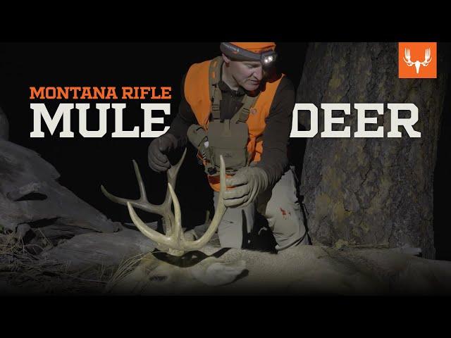 Montana Mule Deer | On the Hunt with Janis Putelis